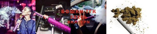 сатива Приозерск