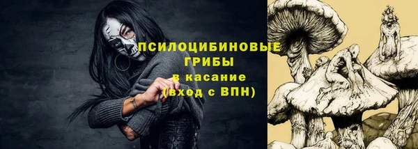 сатива Приозерск